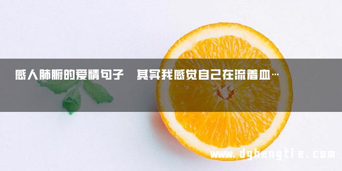 感人肺腑的爱情句子 其实我感觉自己在流着血…